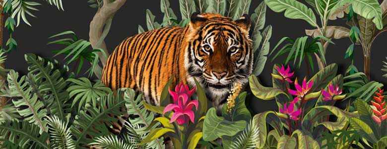 Article 5 leiderschapskenmerken voor de hybride jungle Image