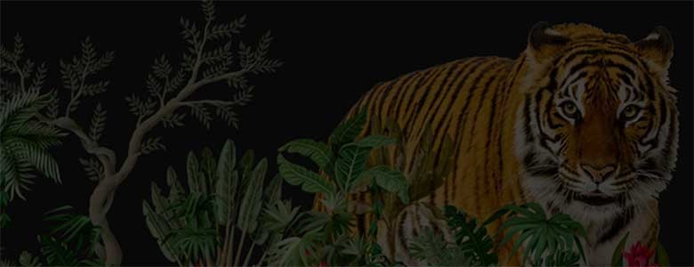 Tijger in de jungle