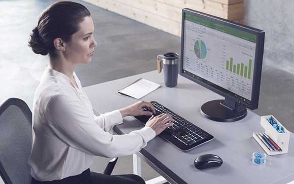 Een ambtenaar werkt met Office Government